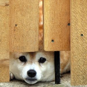 Private bundle! Don't buy